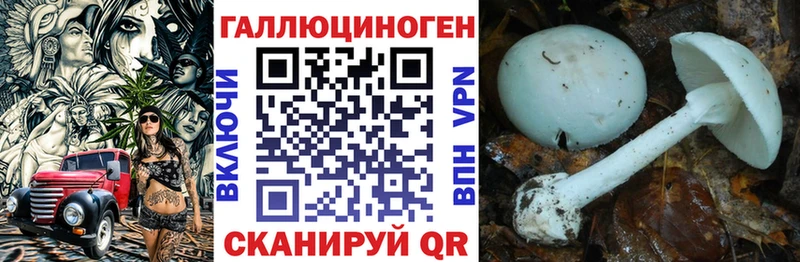 Галлюциногенные грибы MAGIC MUSHROOMS  наркота  Валуйки 