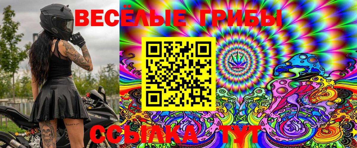 Псилоцибиновые грибы Psilocybe  купить наркоту  Валуйки  Вход с VPN 