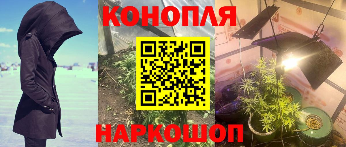 Канабис OG Kush Валуйки